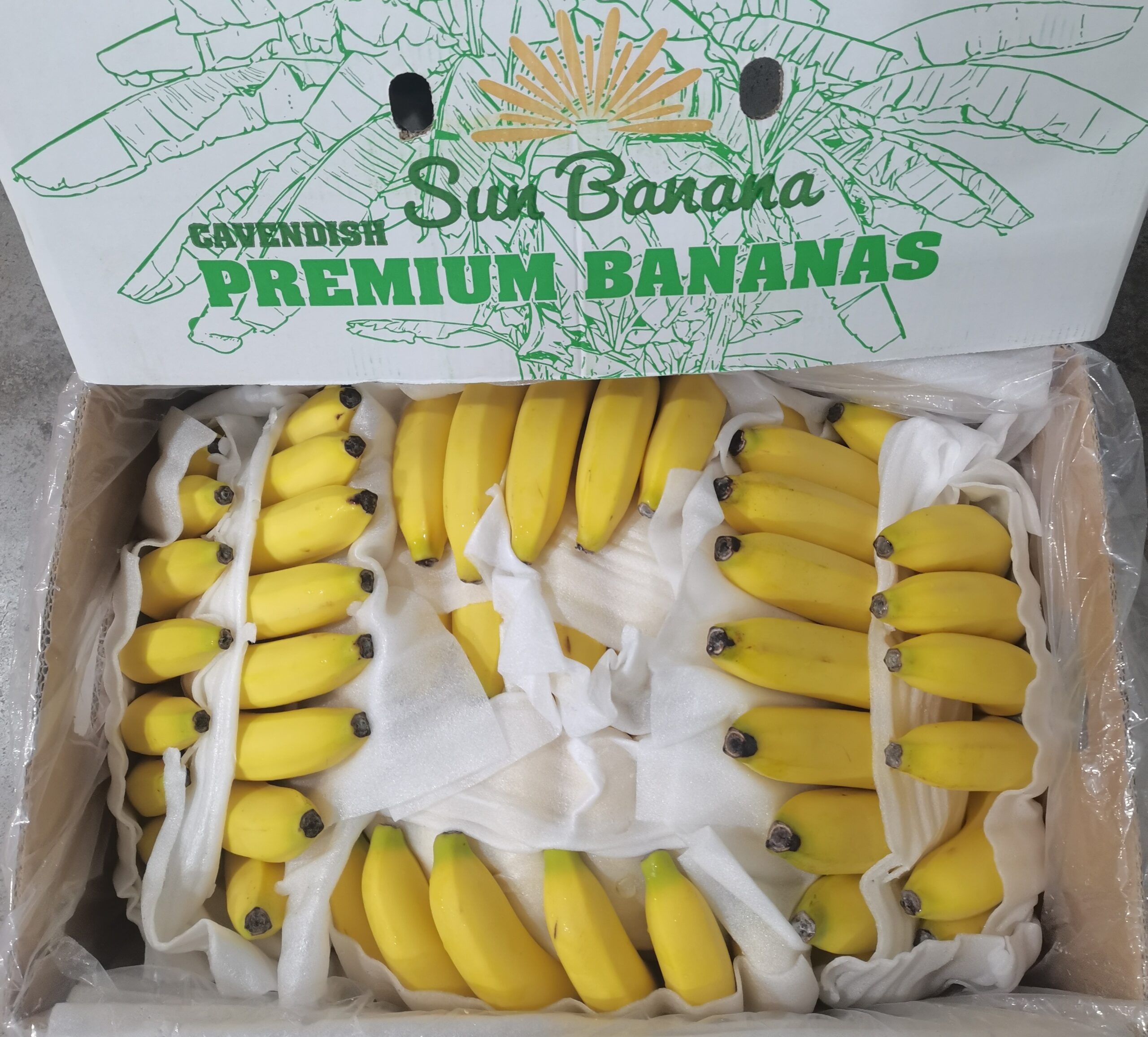 微信图片_20260317072205_288_712