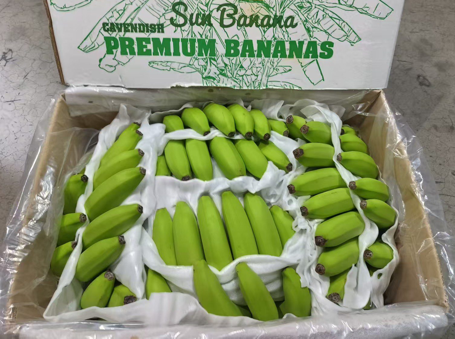 微信图片_20260317141938_305_712