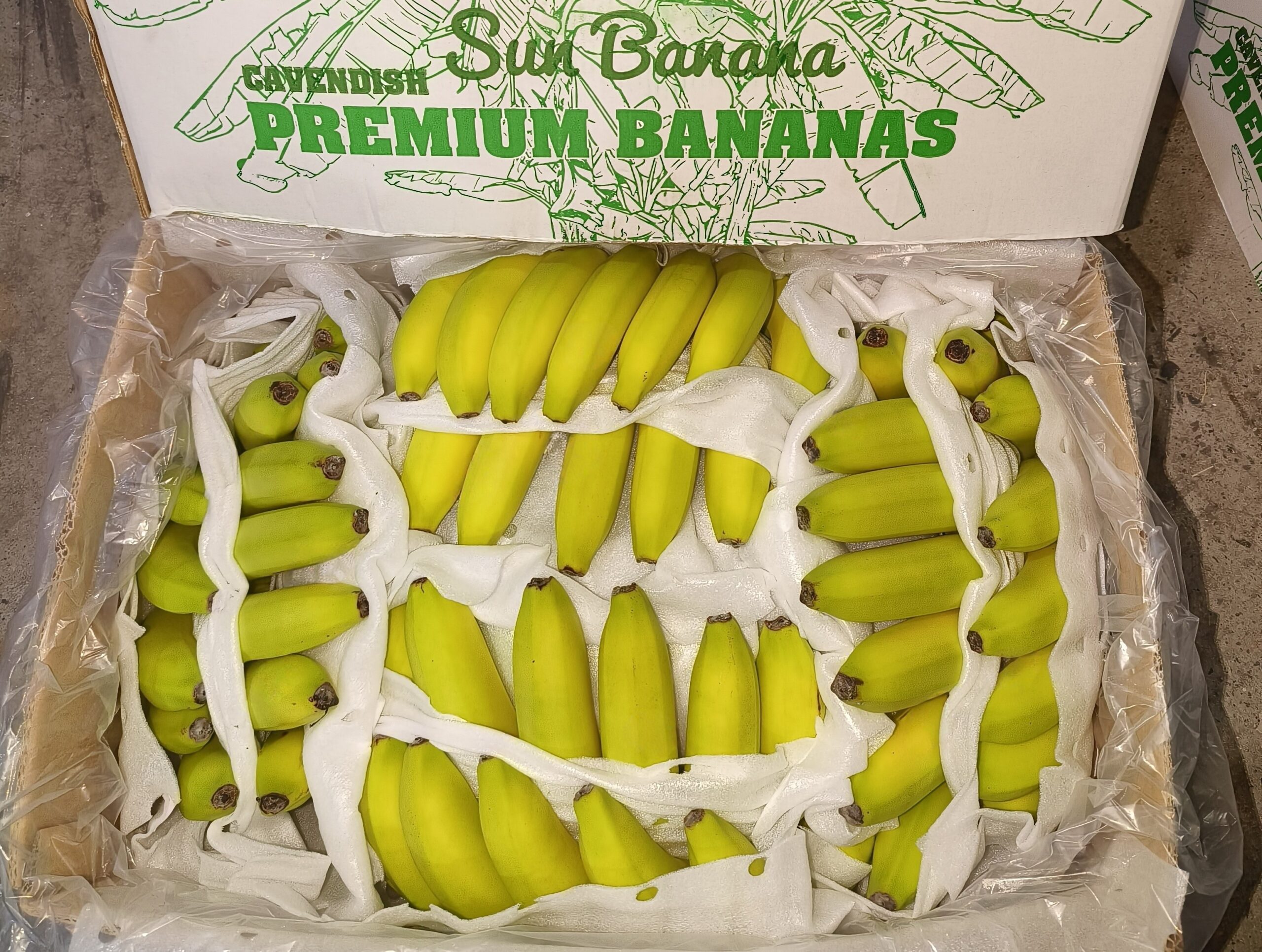 微信图片_20260317181725_319_712