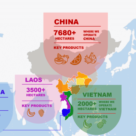 3-理由三配图 3-理由三配图