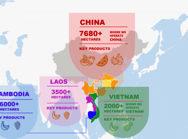 3-理由三配图 3-理由三配图